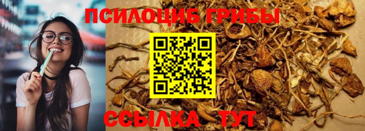 Галлюциногенные грибы мицелий  Псилоцибиновые грибы ЛСД  Заречный  Вход с VPN 